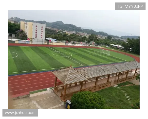 武汉乒乓球队在联合会杯中的拼搏历程与辉煌成就全景回顾 武汉乒乓球队在联合会杯中的拼搏历程与辉煌成就全景回顾